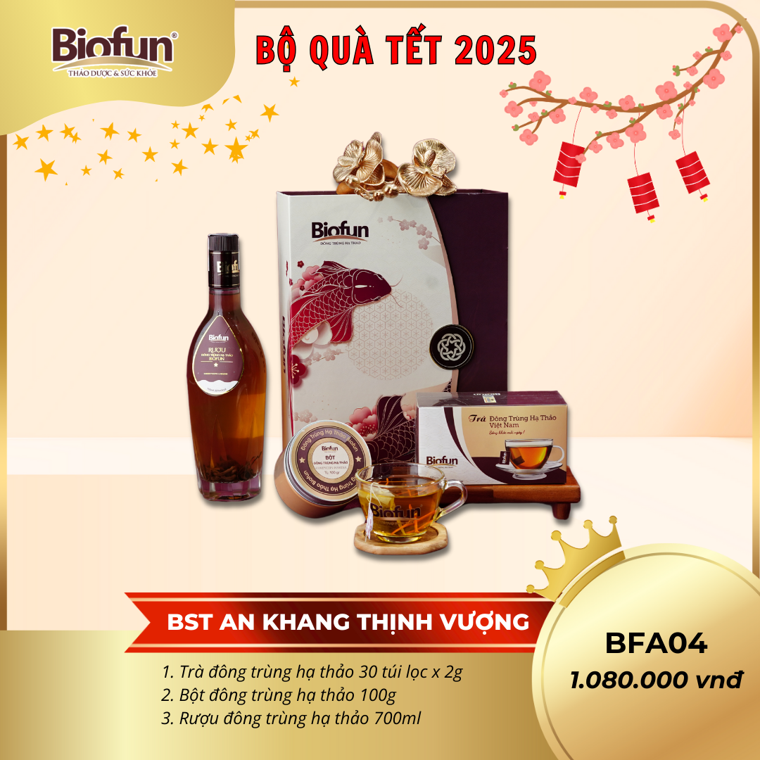 Bộ Quà Tặng Tết 2025 - AN KHANG THỊNH VƯỢNG BFA04